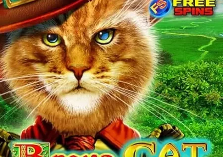 Brave Cat Demo