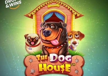 Păcănele gratis The Dog House