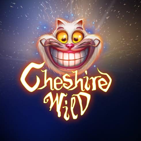 Aparate online Cheshire Wild
