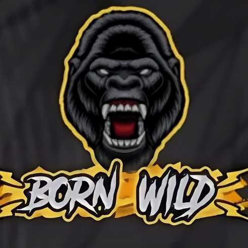 Păcănele online Born Wild