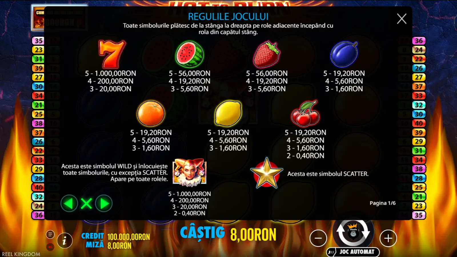Hot to Burn Extreme Demo Simboluri
