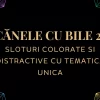 Top Păcănele cu Bile 2025: Sloturi Colorate și Distractive