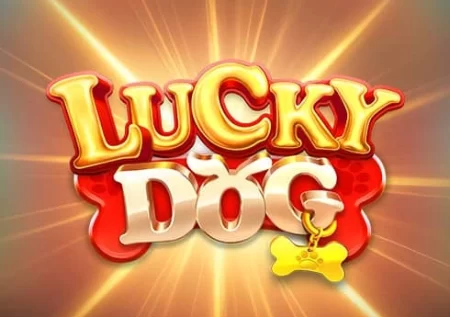 Lucky Dog Demo