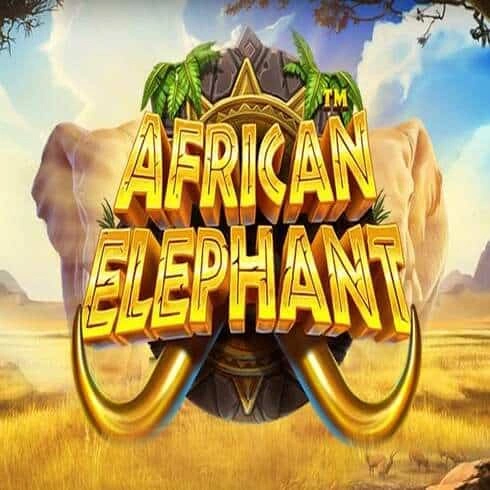 African Elephant Demo